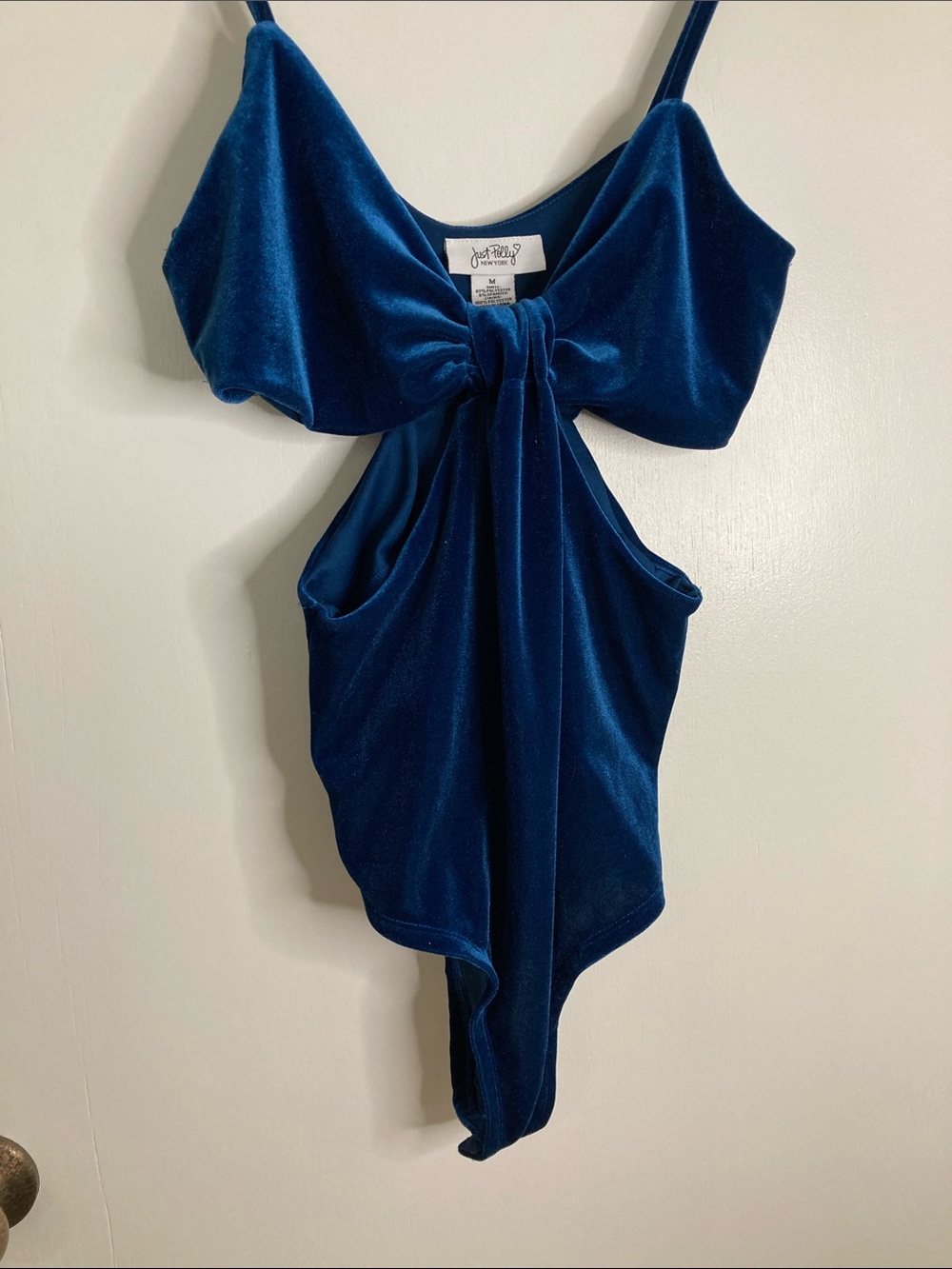 Blue Velvet Tie-Front Bodysuit